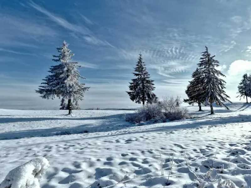 英雄联盟四川总决赛全球顶尖战队对决