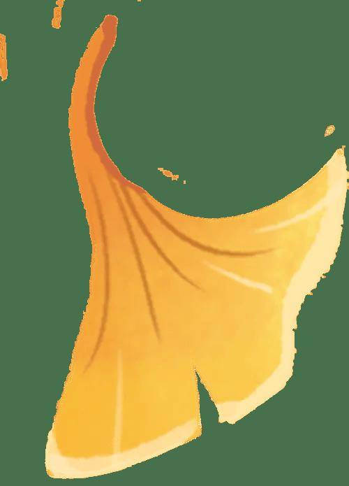 黄金秋日，解锁猛兽“名场面”！