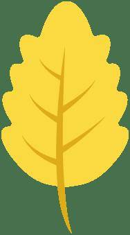 黄金秋日，解锁猛兽“名场面”！