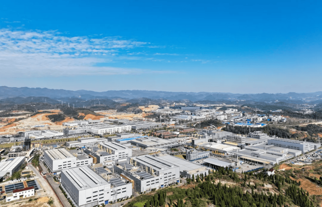 荣誉、创新、突破！大龙开发区企业的“名场面”