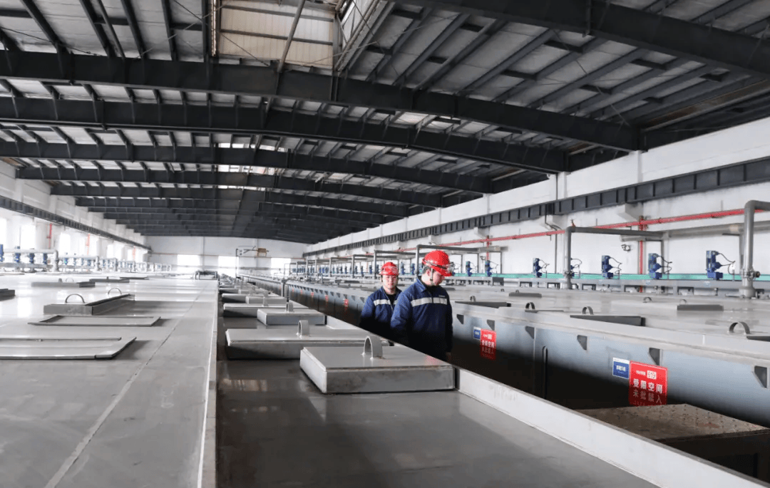 荣誉、创新、突破！大龙开发区企业的“名场面”