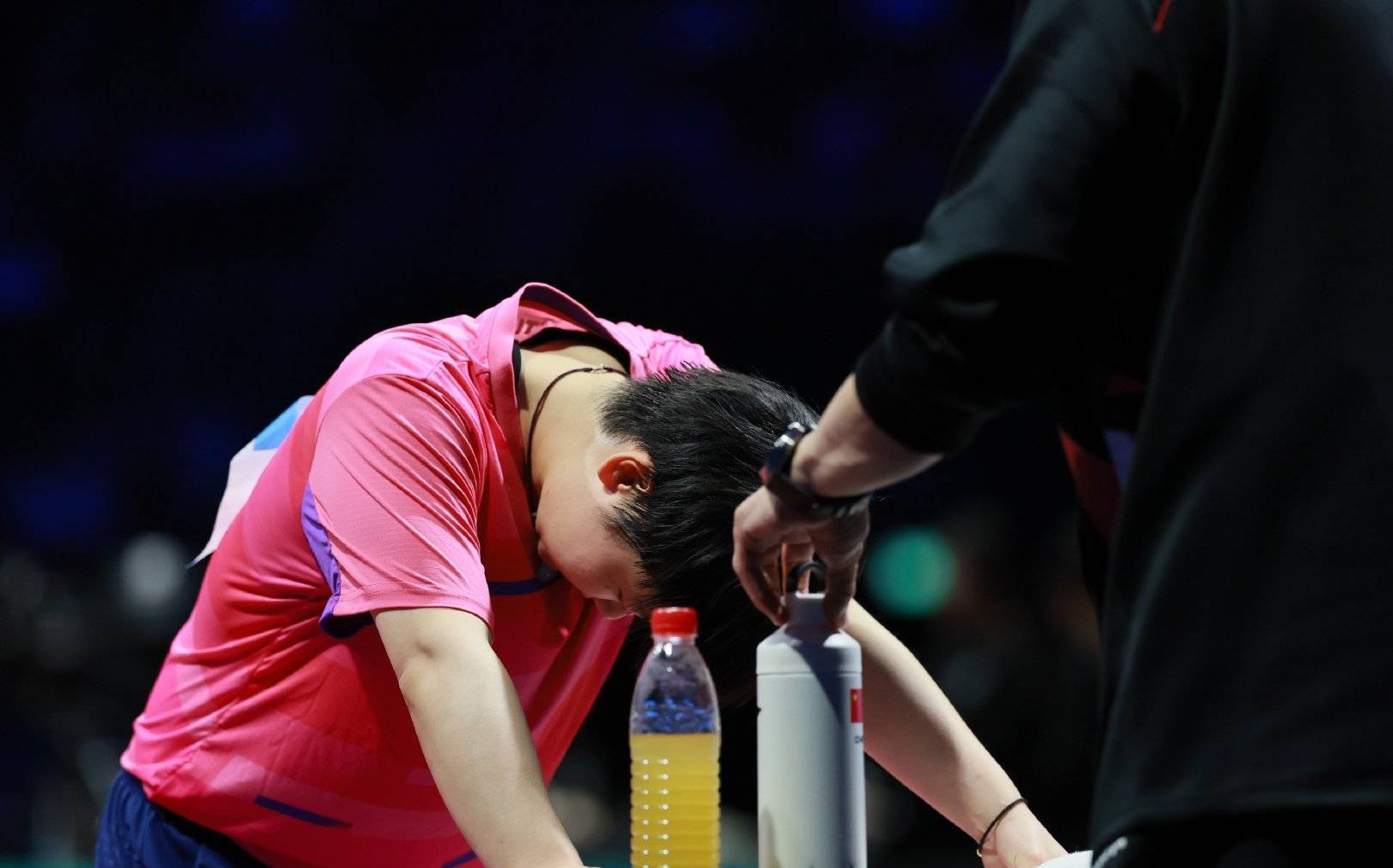 希望球迷不关注明星选手，王励勤观点被粉丝否决，特意针对孙颖莎