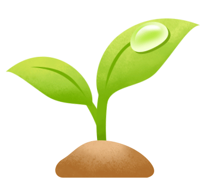 泰顺森林里，藏着157种“名场面”