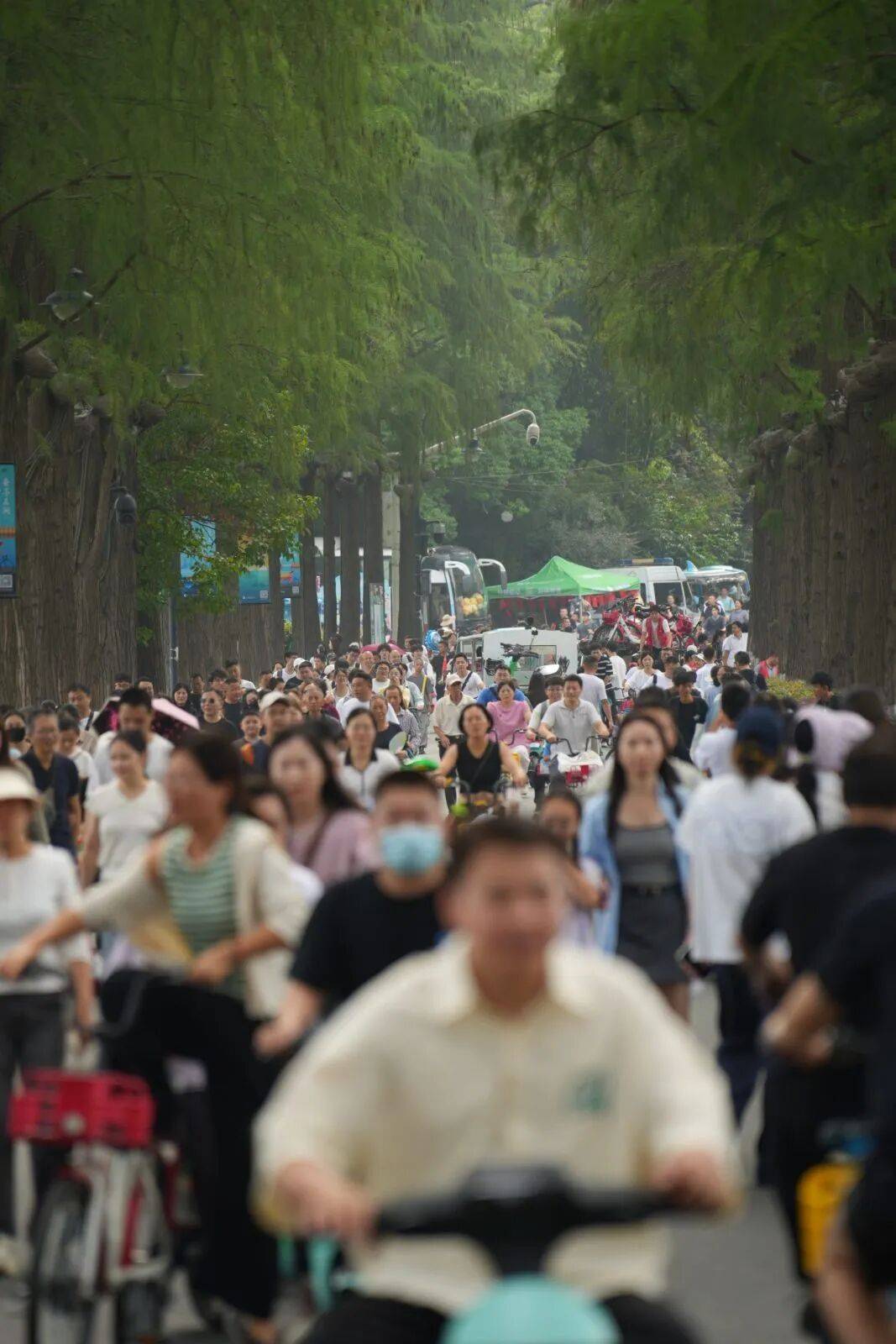 破纪录！武汉国庆名场面，火上央视