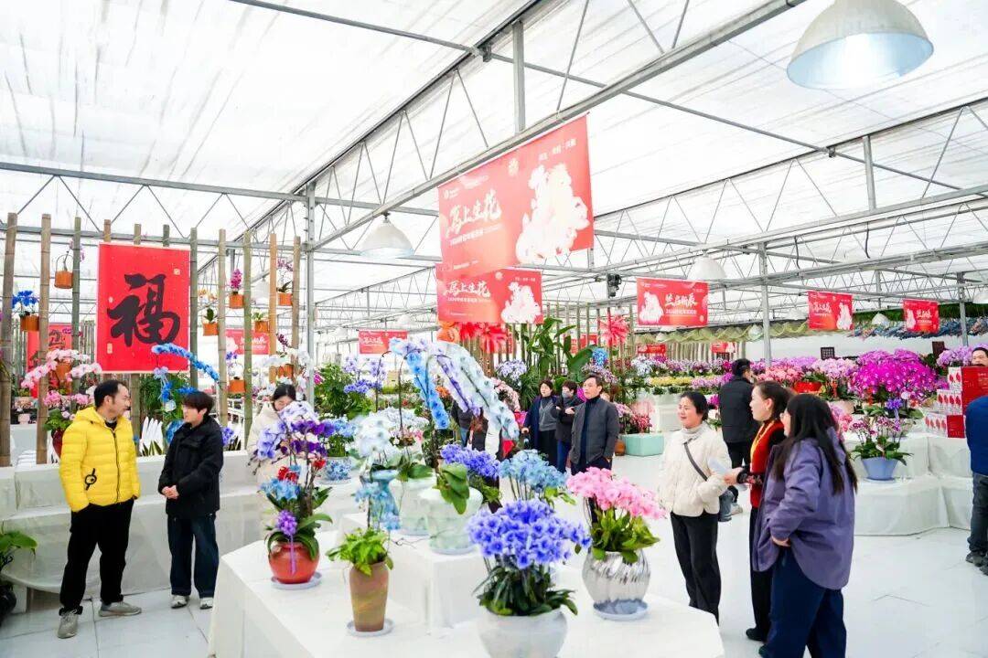 萧山人年度“名场面”上线！