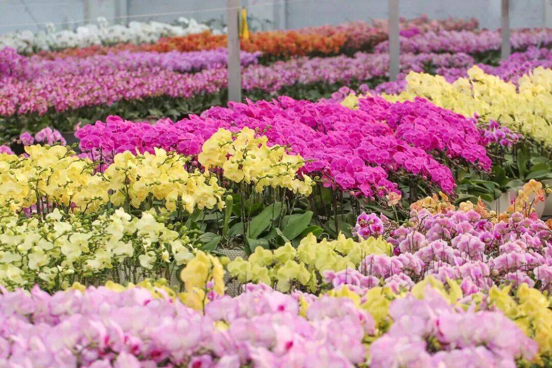 萧山人年度“名场面”上线！